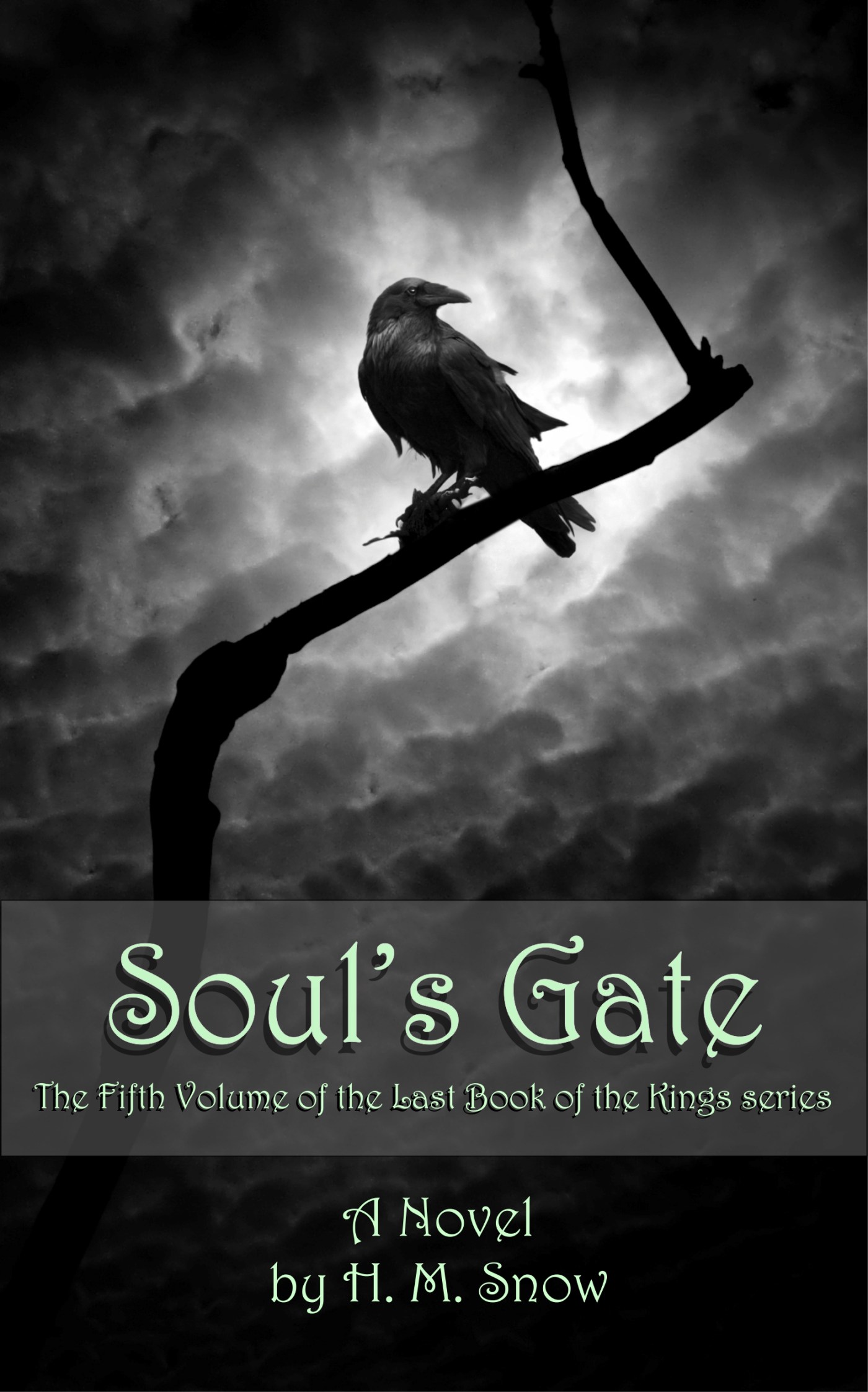 Soul's Gate book cover image